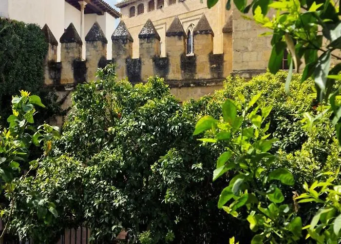 Ds Casa San Fernando *