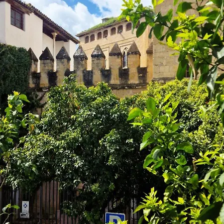 Ds Casa San Fernando *